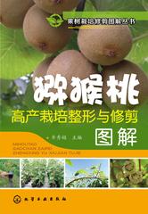 猕猴桃高产栽培整形与修剪图解