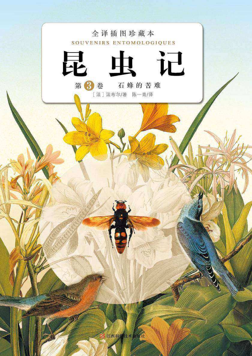 昆虫记：第3卷?石蜂的苦难2020版