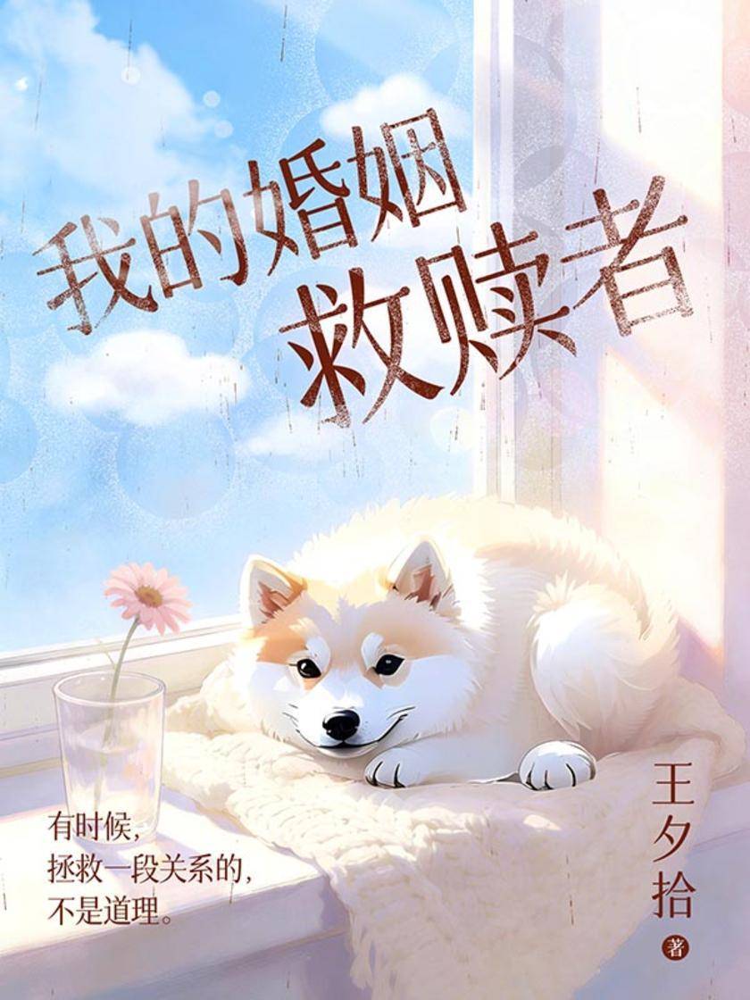 我的婚姻救赎者