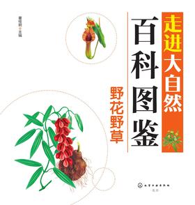 国学启蒙全集:注音版