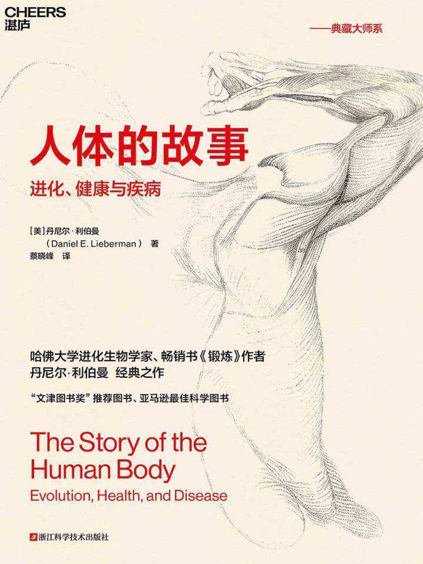 人体的故事