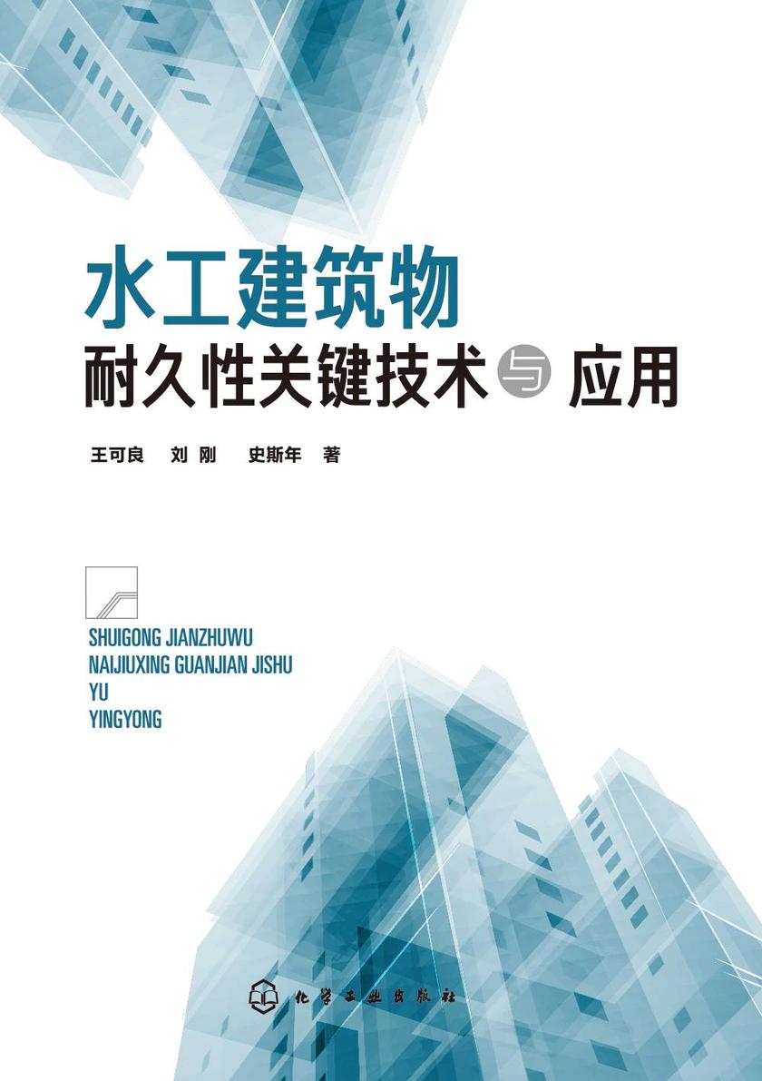 水工建筑物耐久性关键技术与应用
