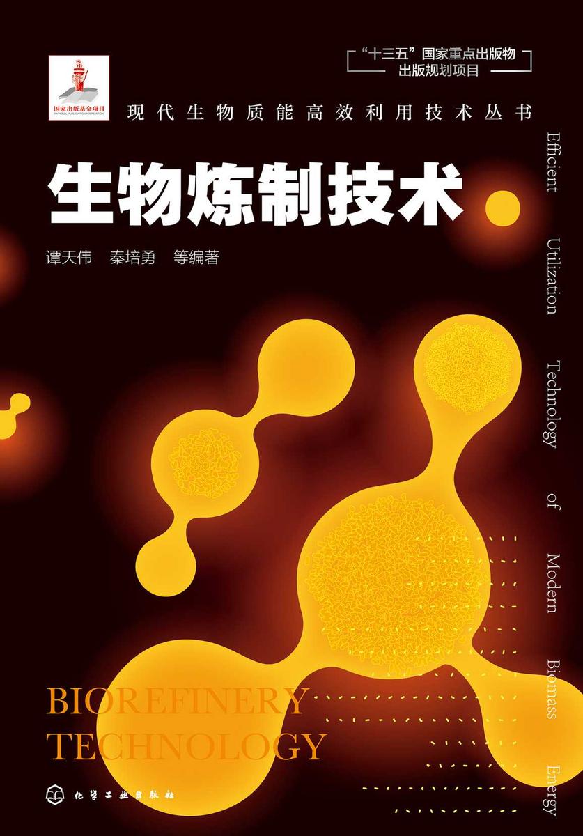 现代生物质能*利用技术丛书--生物炼制技术