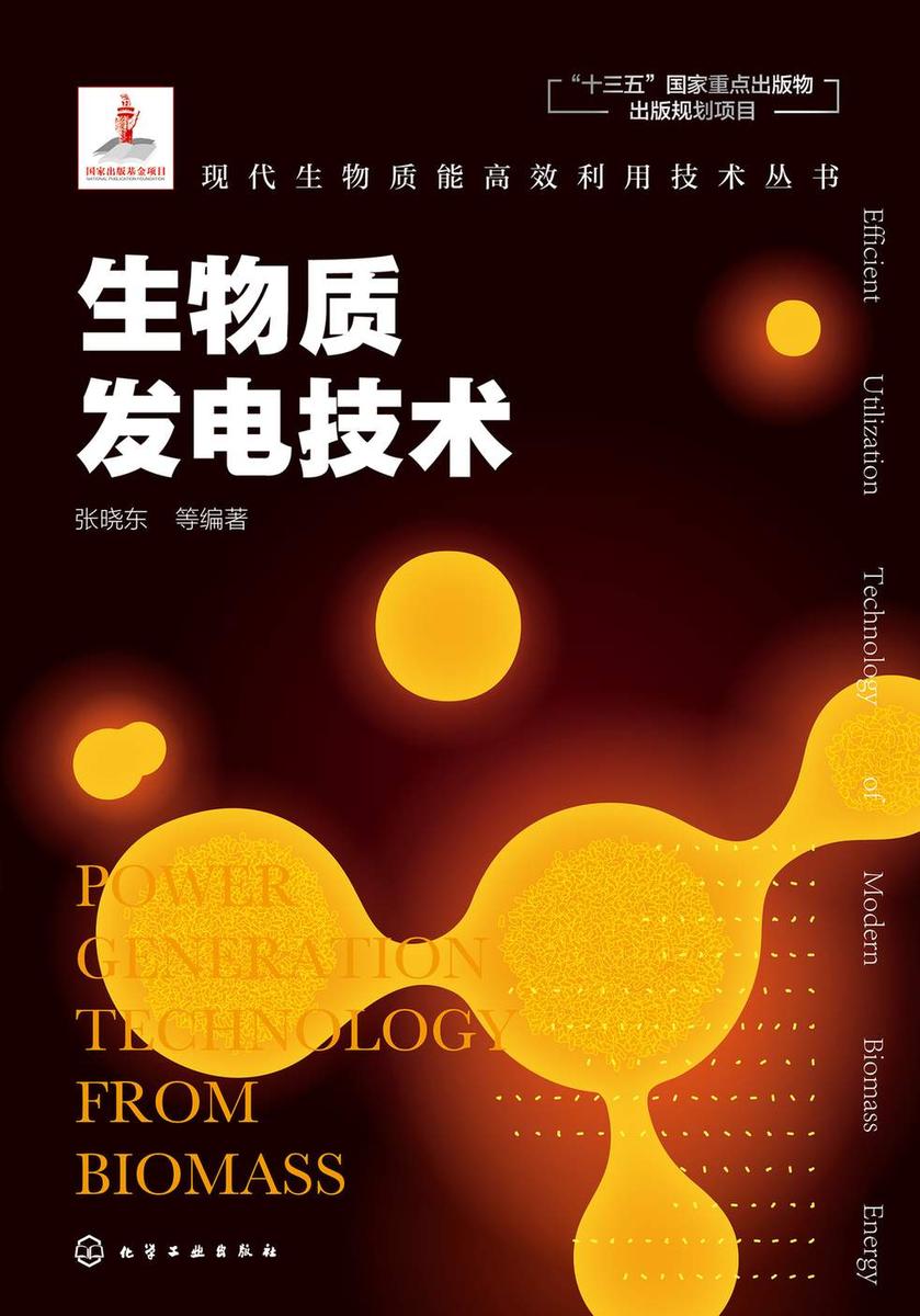 现代生物质能*利用技术丛书--生物质发电技术