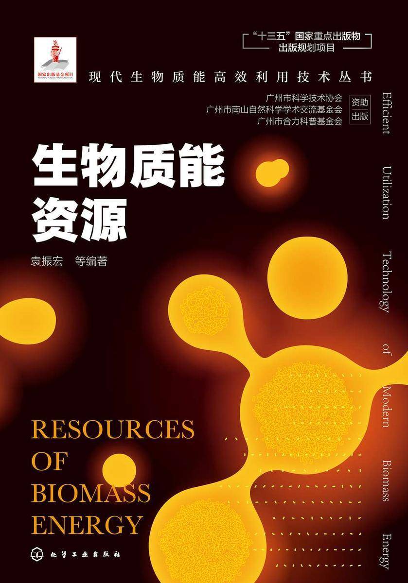 现代生物质能*利用技术丛书--生物质能资源