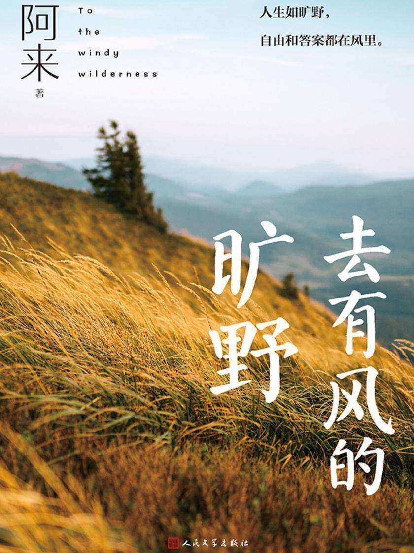 去有风的旷野