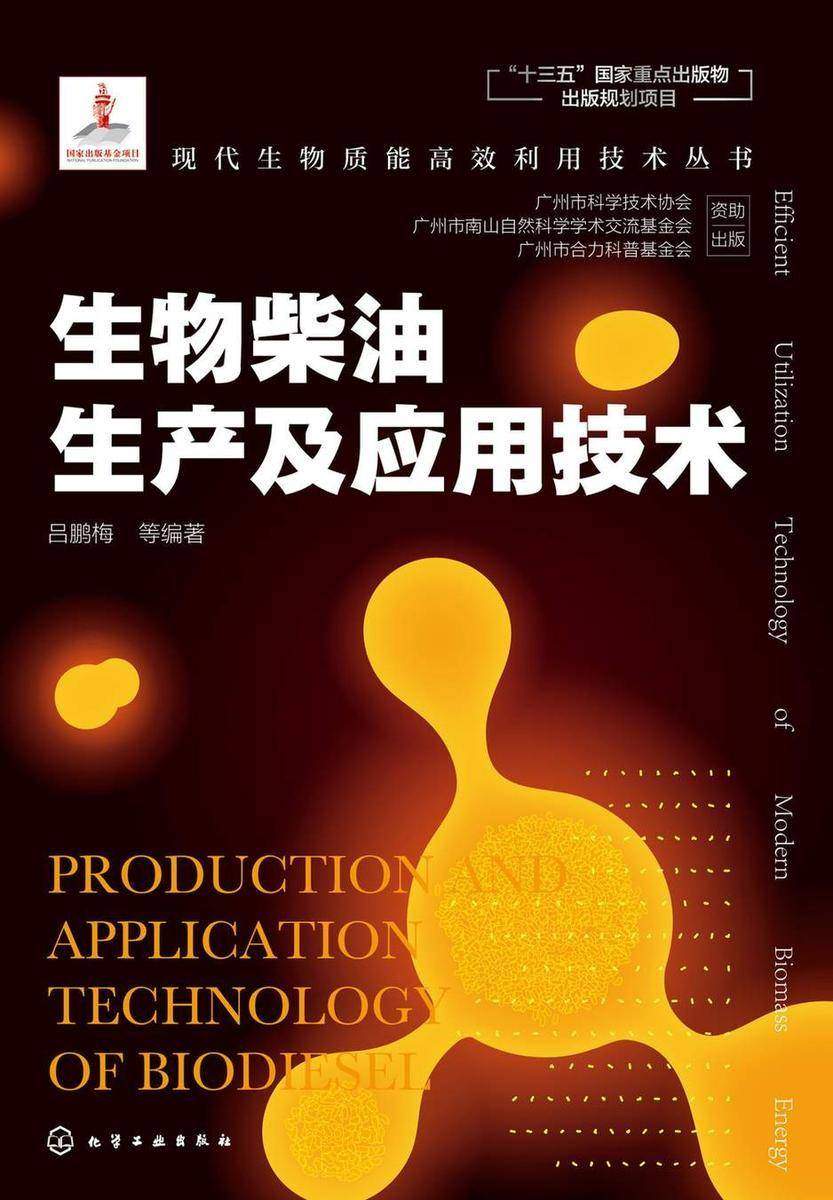 现代生物质能*利用技术丛书--生物柴油生产及应用技术