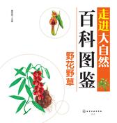 野花野草