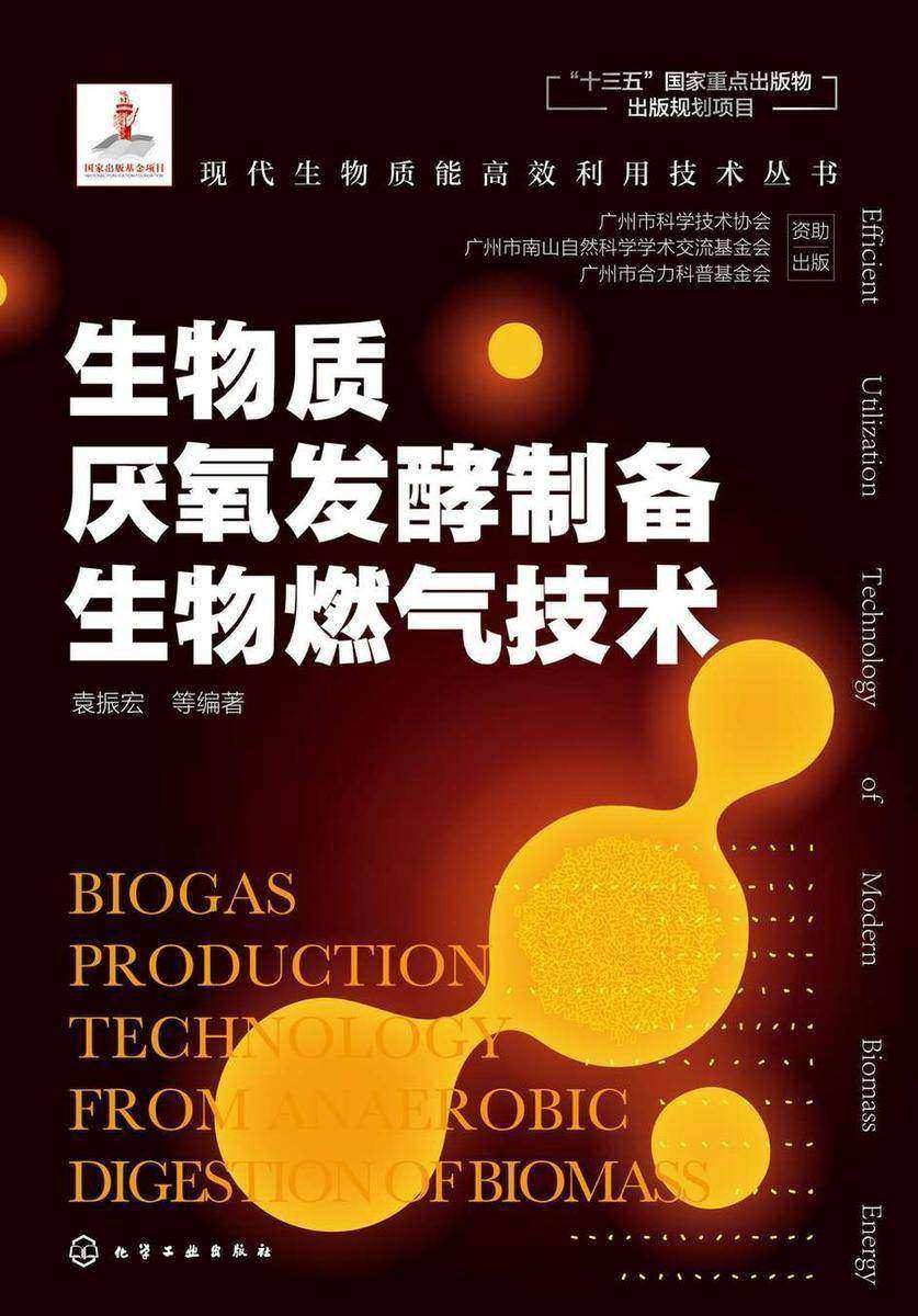 现代生物质能*利用技术丛书--生物质厌氧发酵制备生物燃气技术