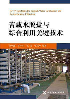苦咸水脱盐与综合利用关键技术