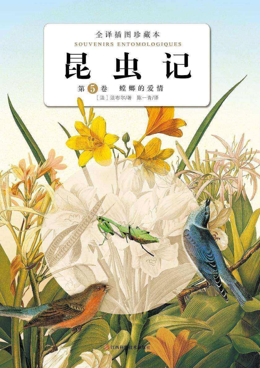 昆虫记：第5卷?螳螂的爱情2020版