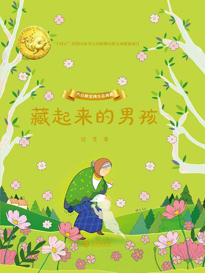 大白鲸金牌作品典藏·藏起来的男孩