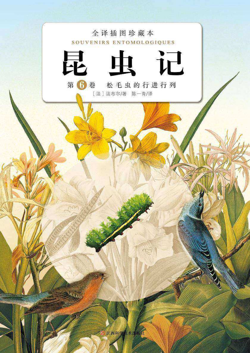昆虫记：第6卷?松毛虫的行进行列2020版
