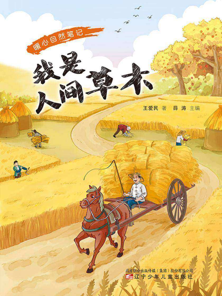 暖心自然笔记:我是人间草木