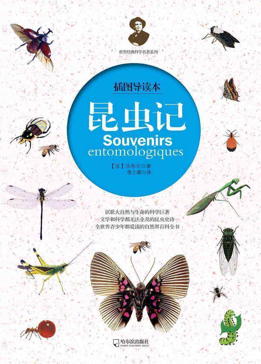 昆虫记