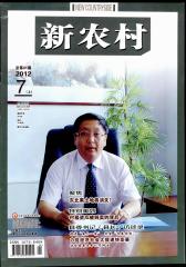 新农村 半月刊 2012年13期(电子杂志)(仅适用PC阅读)