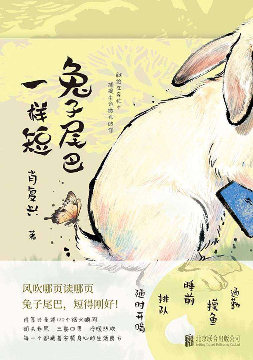 兔子尾巴一样短