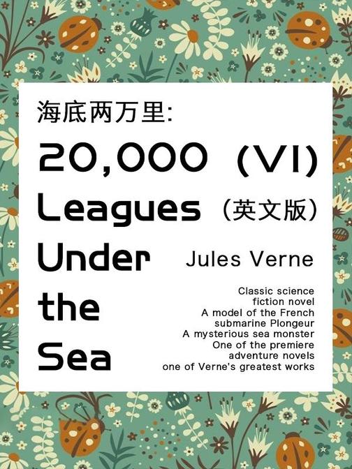 20,000 Leagues Under the Sea(VI)海底两万里(英文版)