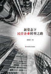 新常态下民营企业转型之路