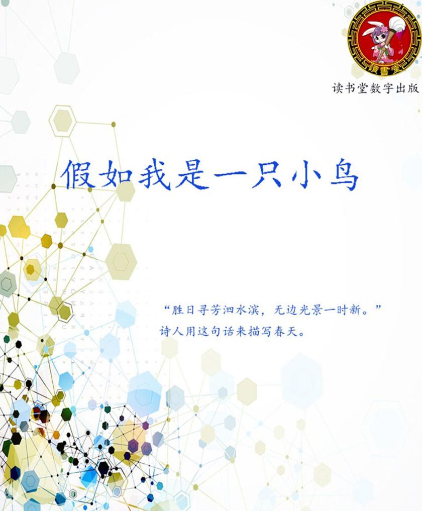 假如我是一只小鸟