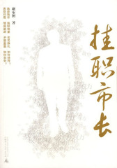 挂职市长