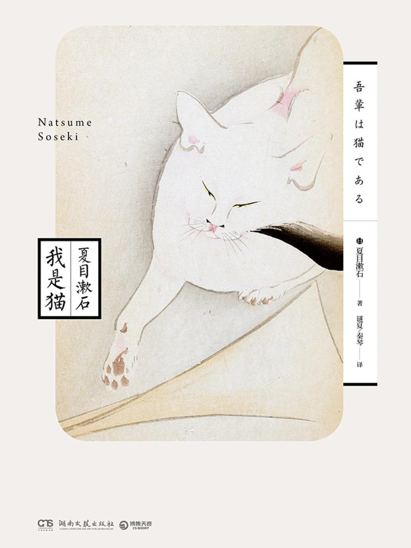 我是猫