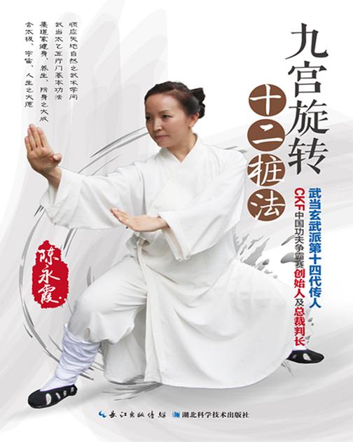 九宫旋转十二桩法