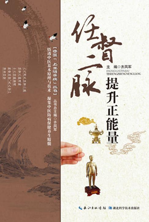 中医上工治未病丛书:任督二脉提升正能量