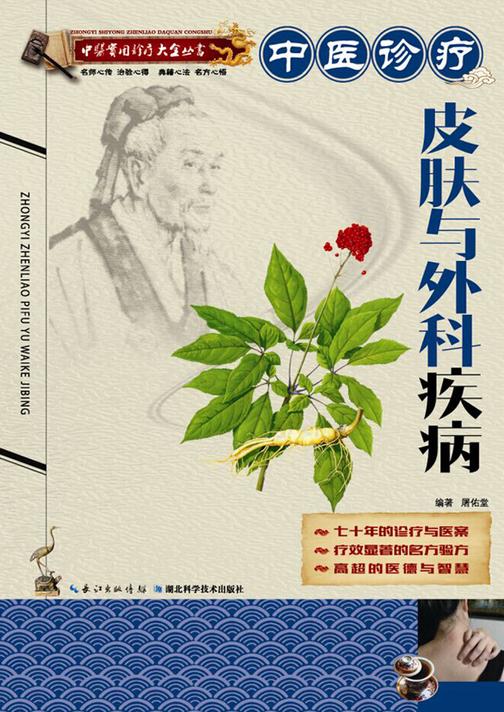 中医实用诊疗大全丛书：中医诊疗皮肤与外科疾病