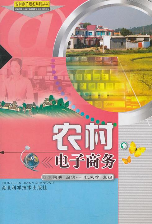 农村电子商务(农村电子商务系列丛书)