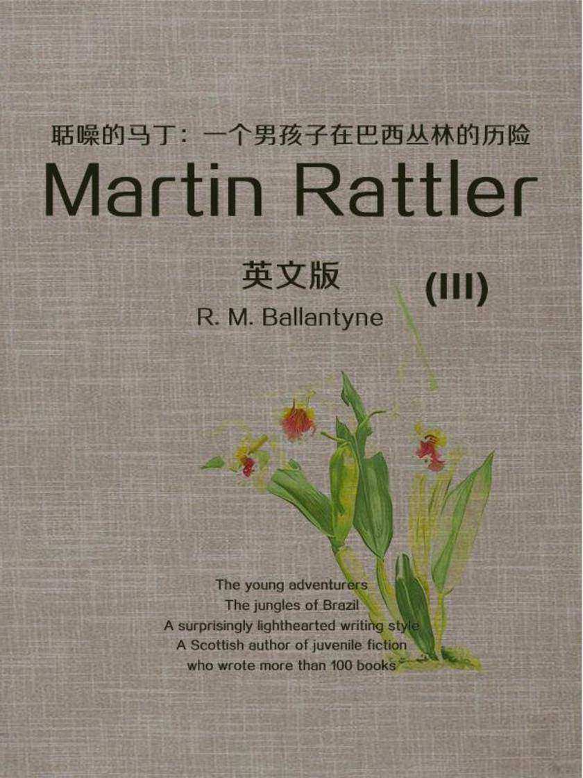 Martin Rattler(III) 聒噪的马丁：一个男孩子在巴西丛林的历险(英文版)