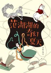 范湖湖的奇幻夏天(试读本)