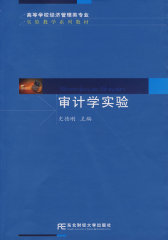 审计学实验（高等实验）(试读本)