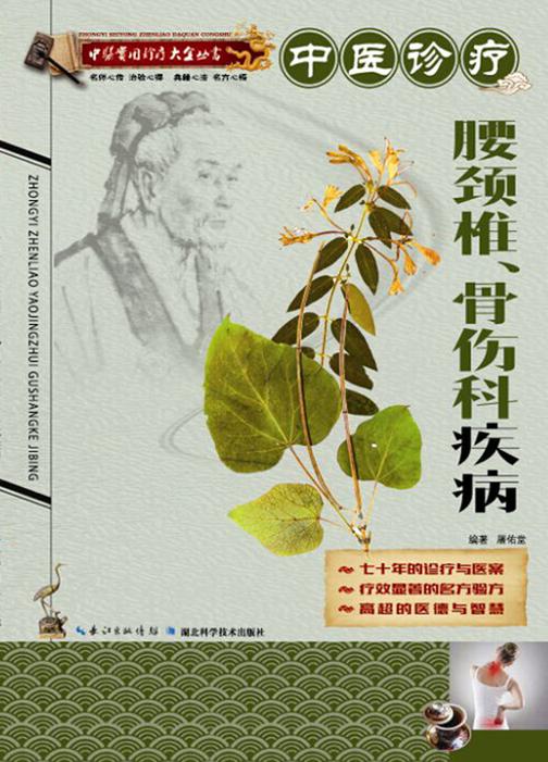 中医实用诊疗大全丛书：中医诊疗腰颈椎、骨伤科疾病