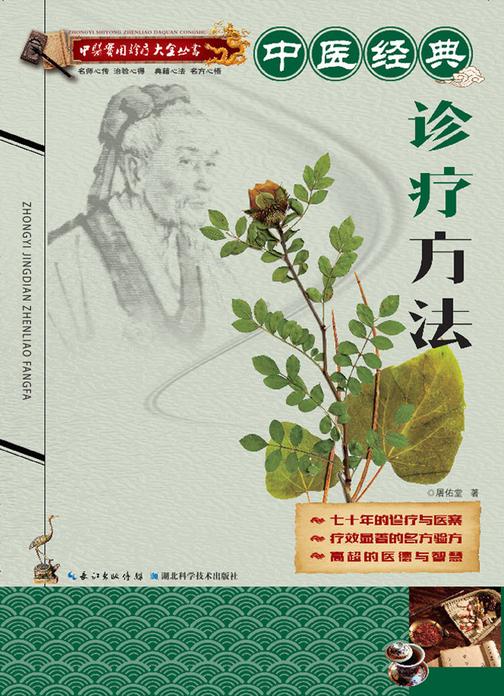 中医诊疗五官科疾病(中医实用诊疗大全丛书)