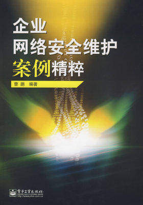 企业网络安全维护案例精粹(试读本)