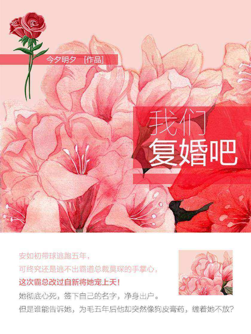 我们复婚吧(第2卷)