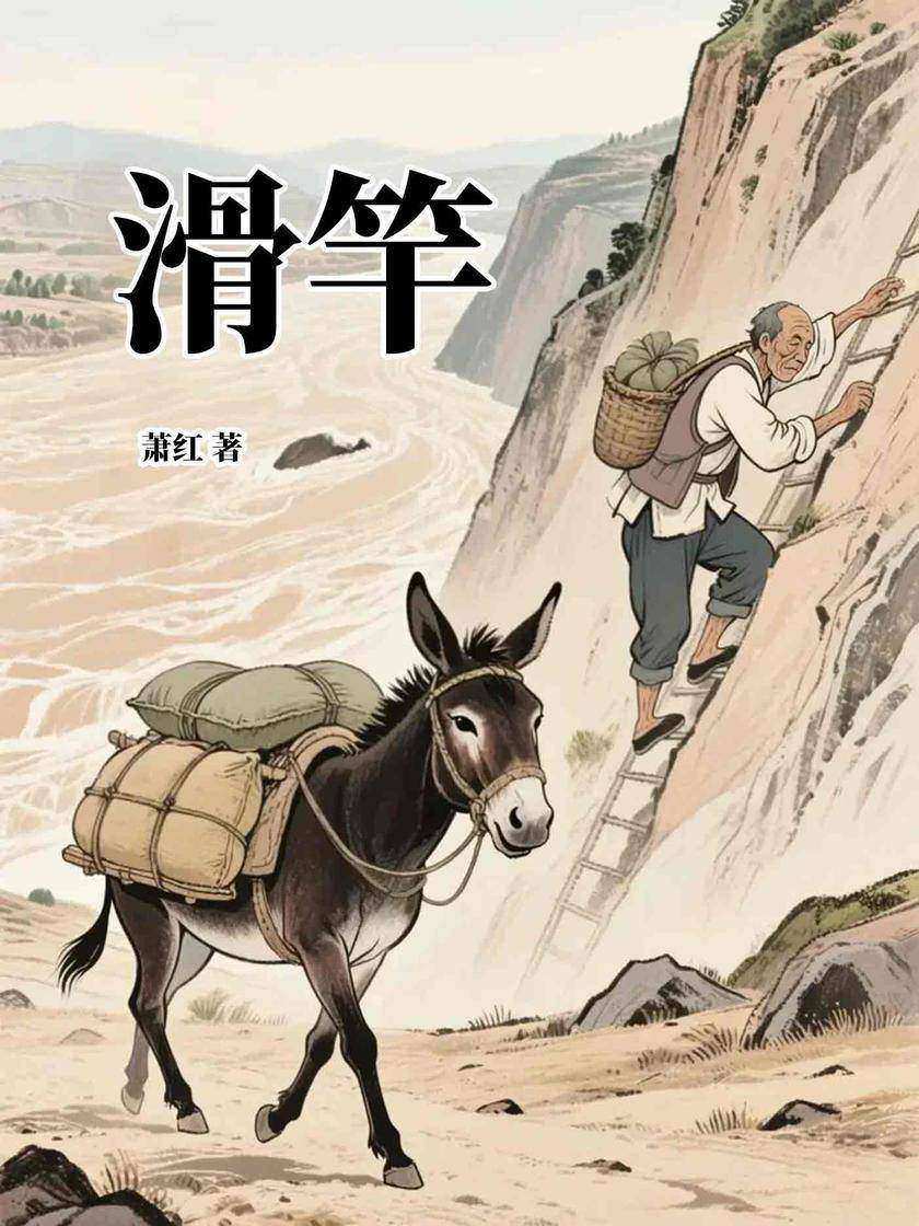 滑竿(名家文学经典)