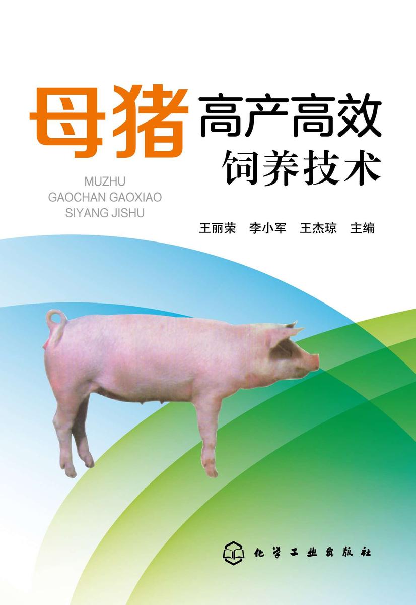 母猪高产*饲养技术