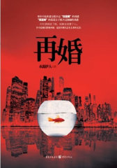 再婚(试读本)