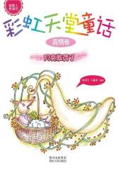 彩虹天堂童话-真情卷(试读本)