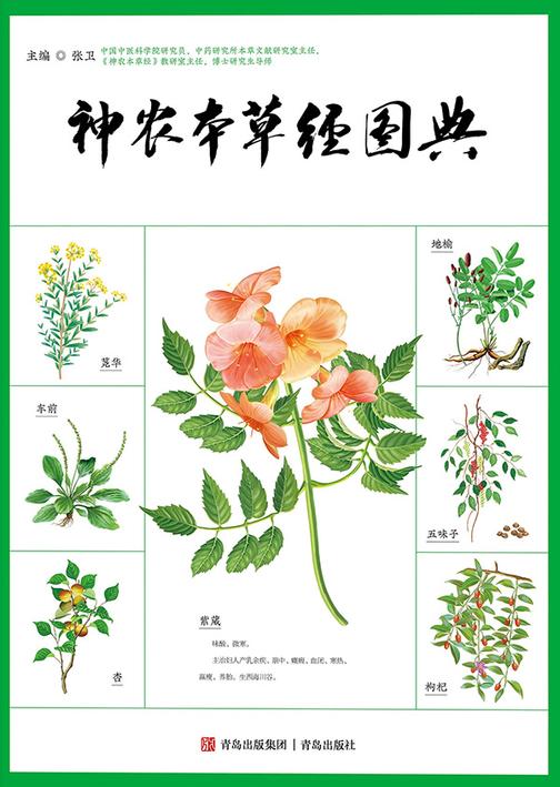 神农本草经图典