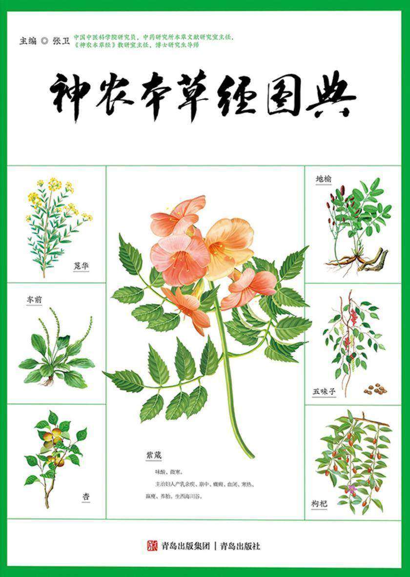 神农本草经图典