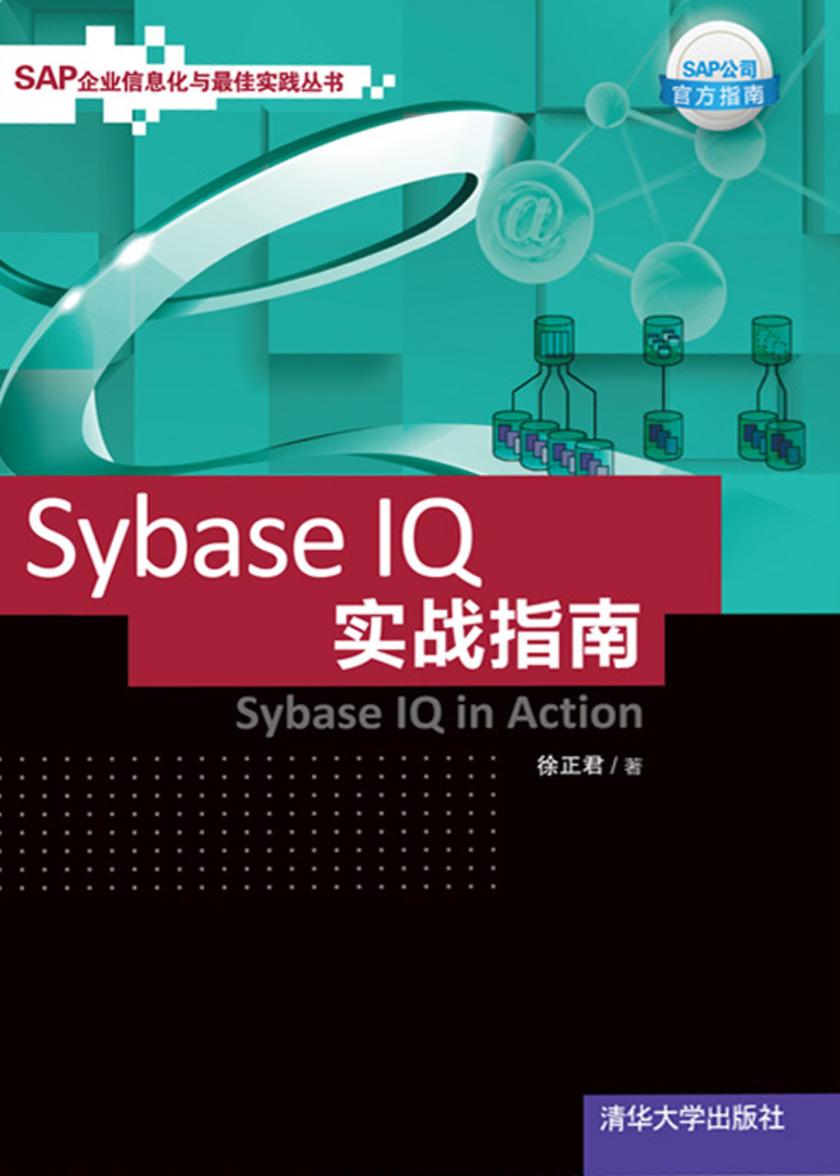 SybaseIQ实战指南