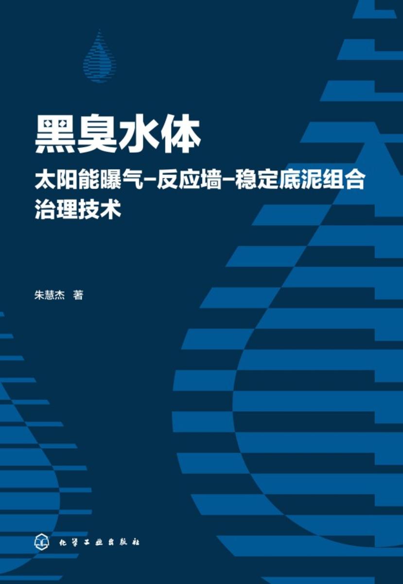 黑臭水体太阳能曝气-反应墙-稳定底泥组合治理技术