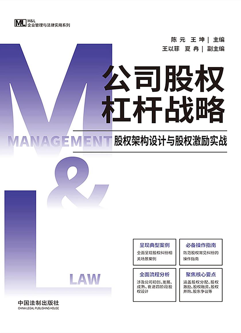 公司股权杠杆战略: 股权架构设计与股权激励实战