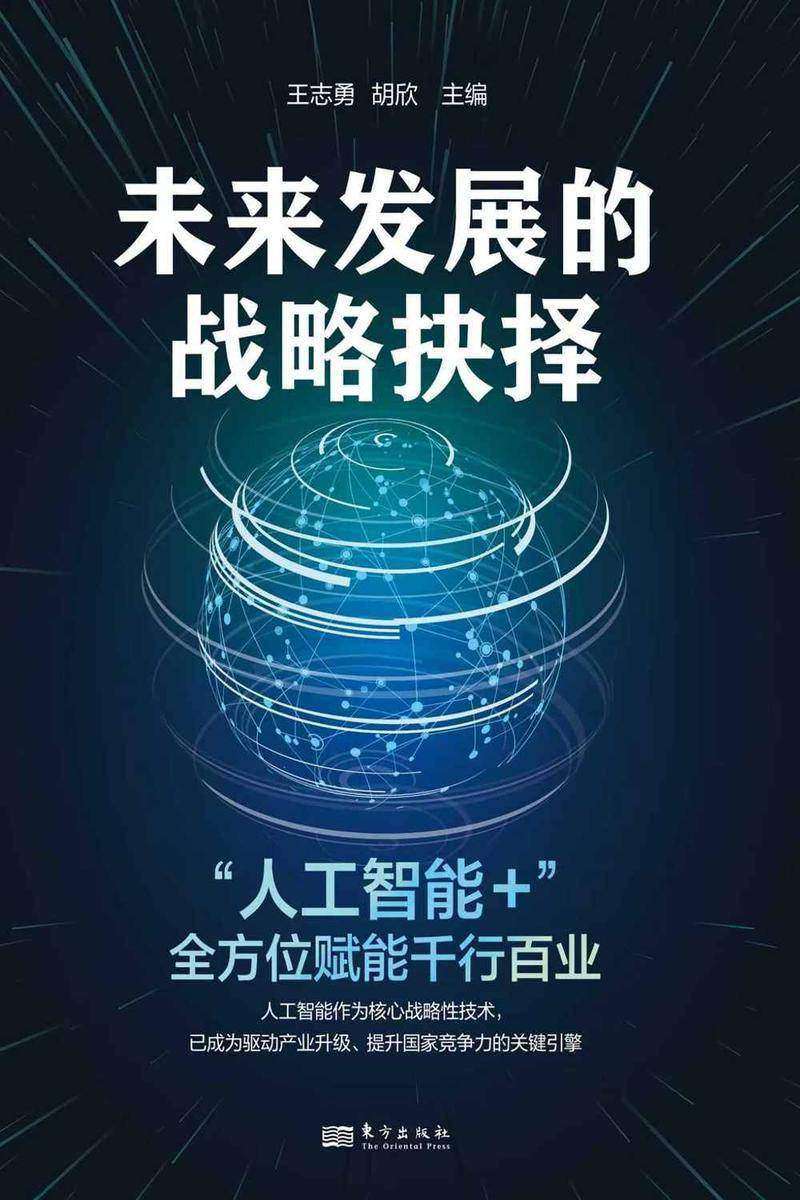 未来发展的战略抉择