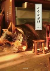 小小小生活