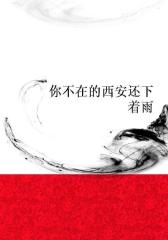 你不在的西安还下着雨