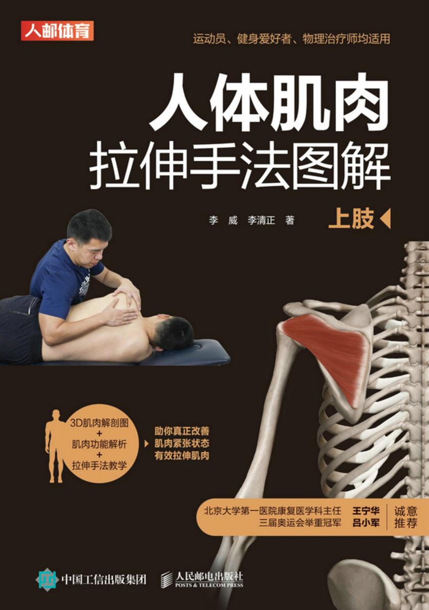 人体肌肉拉伸手法图解(上肢)